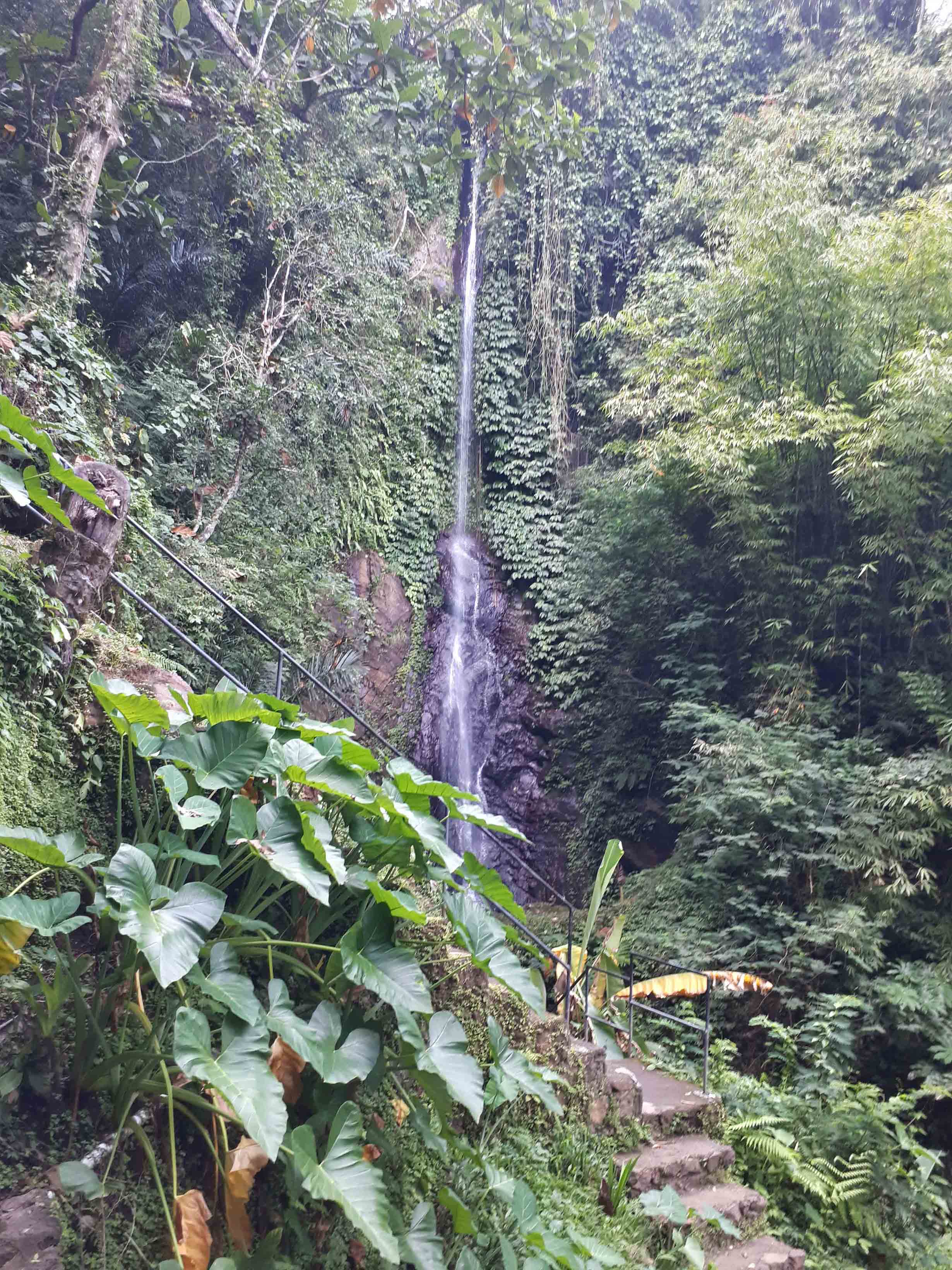 JAGASATRU WATERFALL View2